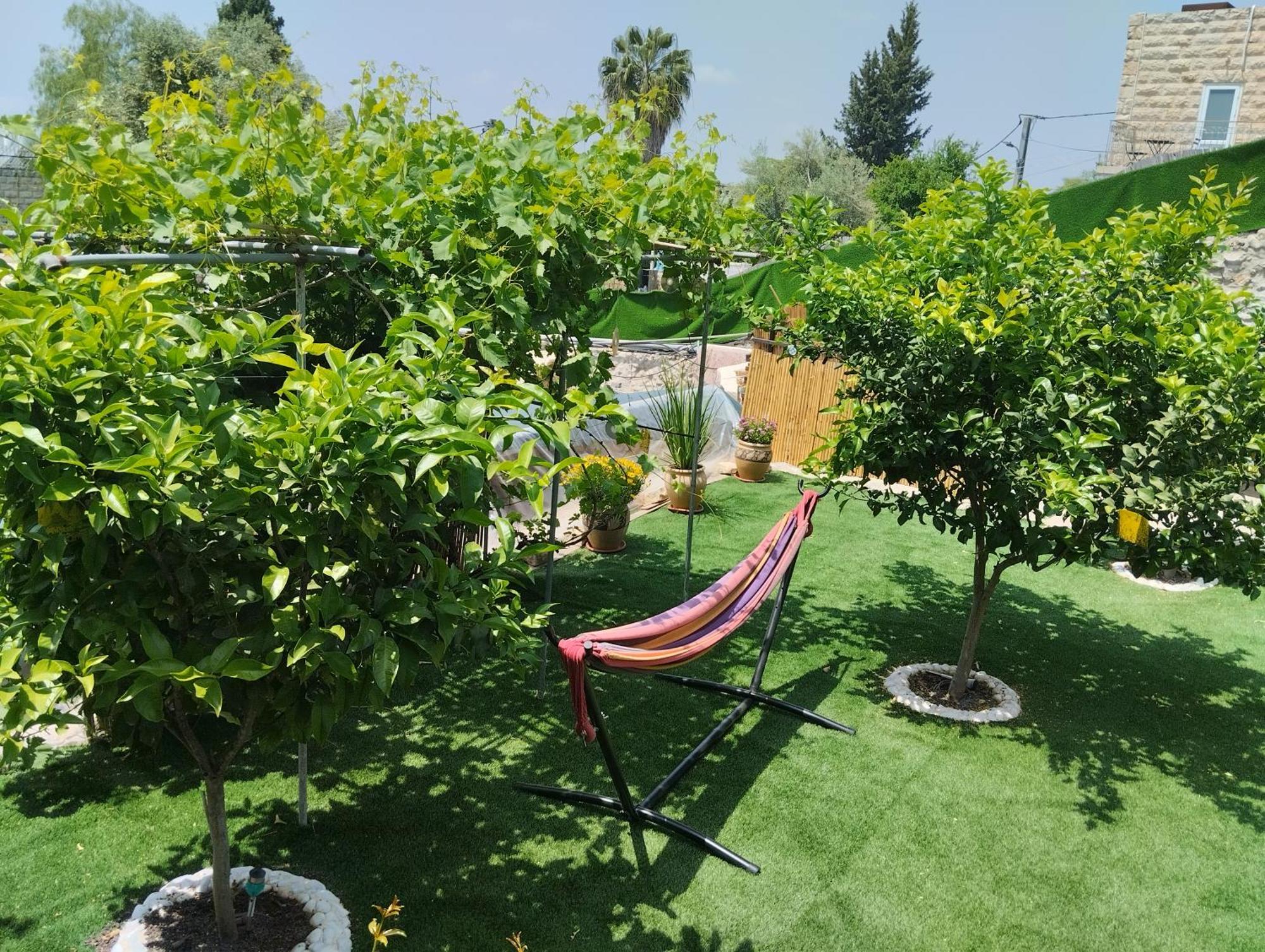 קסם עין כרם Apartment Йерусалим Екстериор снимка